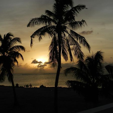 Faza View Inn, Maafushi Exteriör bild