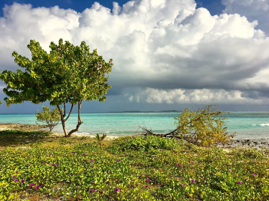 Faza View Inn, Maafushi Exteriör bild